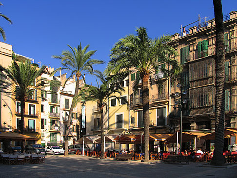 Foto Umgebung der La Llotja - Palma de Maljorka