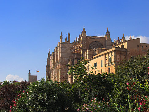 Fotos Die Kathedrale | Palma de Maljorka