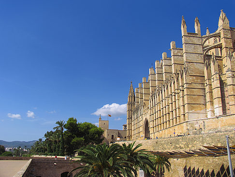 Foto Die Kathedrale - Palma de Maljorka