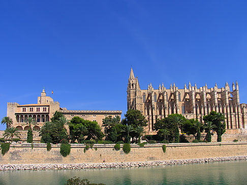 Fotos Die Kathedrale | Palma de Maljorka