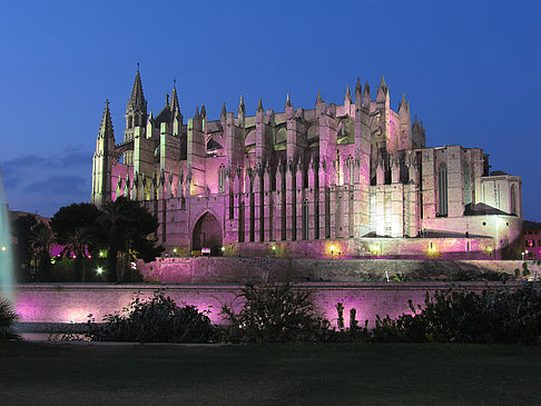 La Seu beim Sonnenuntergang Fotos