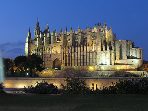 Fotos La Seu beim Sonnenuntergang | Palma de Maljorka