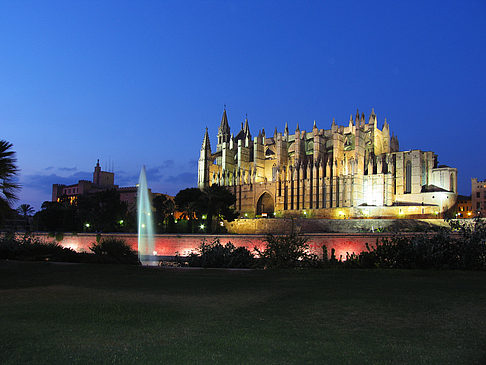 La Seu mit Fontäne Fotos