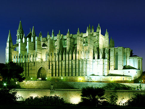 Fotos Neue Farben | Palma de Maljorka