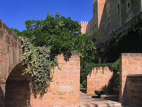 Fotos Umgebung der Kathedrale | Palma de Maljorka