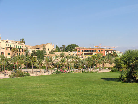 Foto Umgebung der Kathedrale - Palma de Maljorka