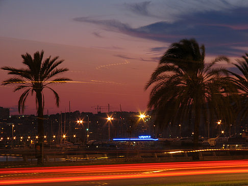 Fotos Hafen Promenade | Palma de Maljorka