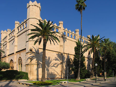 Foto La Llotja - 