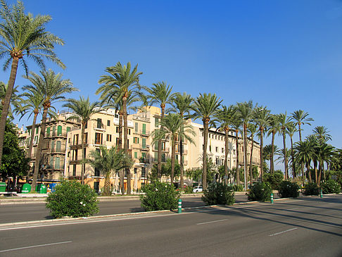 Foto Auf den Straßen von Palma - Palma de Maljorka
